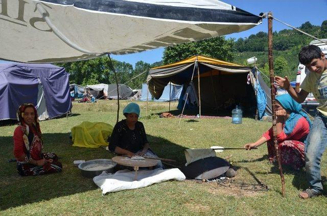 Batı Karadeniz’e Fındık Hasadı İçin 10 Bin Mevsimlik İşçi Bekleniyor