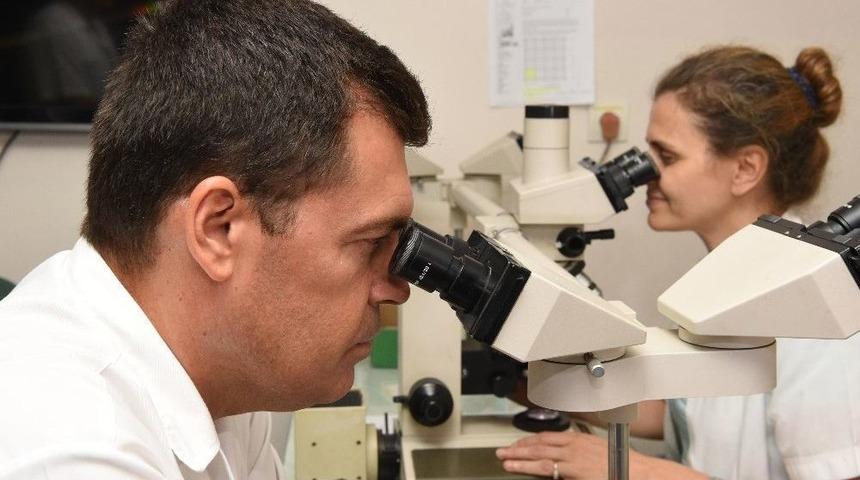 Ege Üniversitesi İlaç Araştırmalarında Da Dikkat Çekiyor