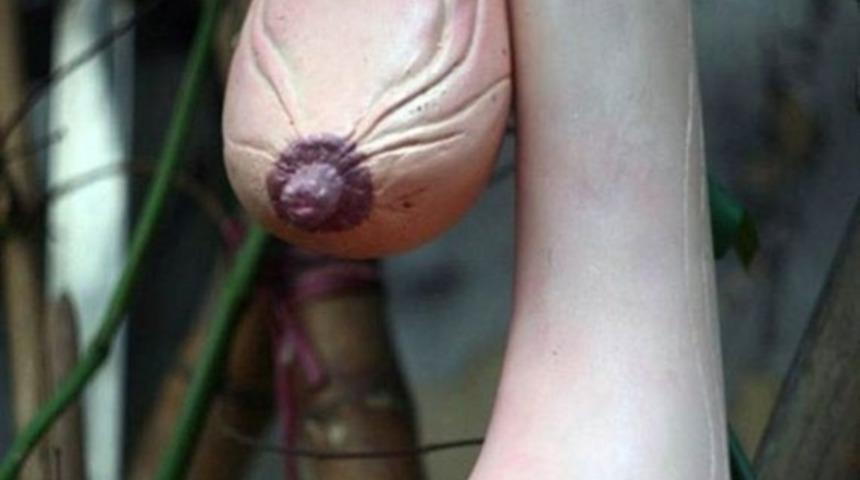 Meme şeklindeki kabak şok etti!