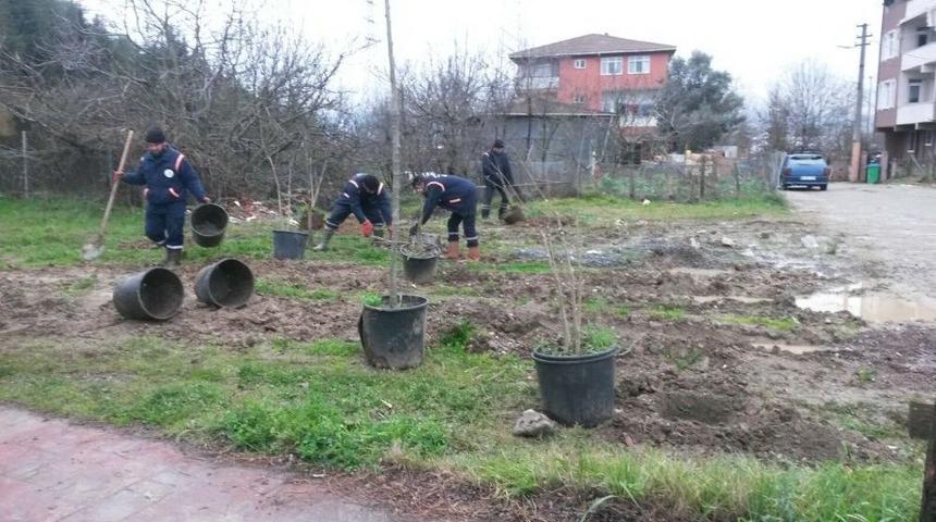 Kartepe&rsquo;de Ağa&ccedil; Seferberliği