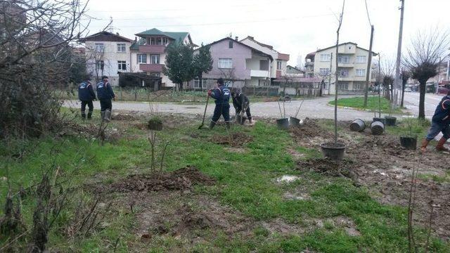 Kartepe’de Ağaç Seferberliği