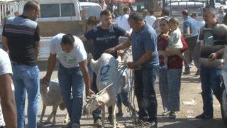 Vatandaşlar Bayramın İlk Gününde Kurban Pazarlarına Akın Etti