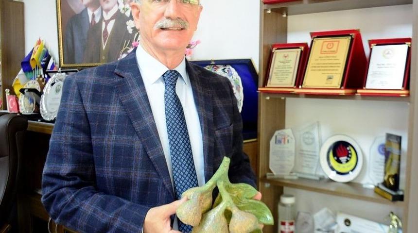 İncirliovalılar ‘incir Festivali’ İle Coşacak