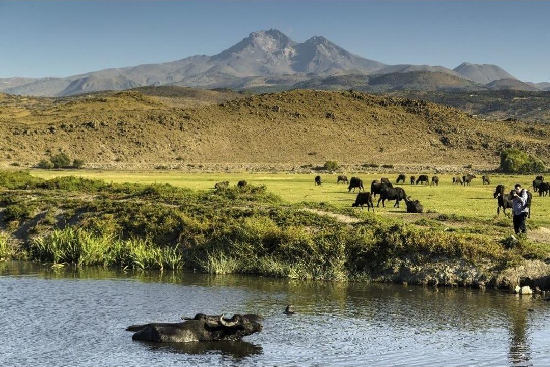 Başkan &Ccedil;elik, "kayseri&rsquo;nin Değerlerinin Ortaya &Ccedil;ıkarılmasına Katkı Sağlıyoruz"