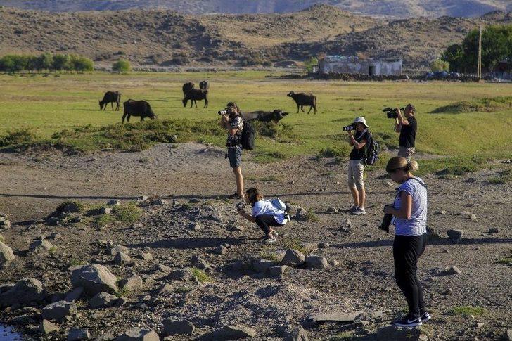 Başkan Çelik, "kayseri’nin Değerlerinin Ortaya Çıkarılmasına Katkı Sağlıyoruz" G1