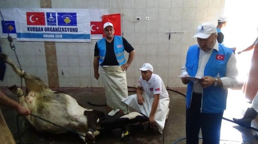 Balkanlara Kardeş Eli