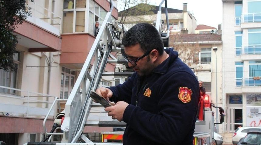 Ağa&ccedil;ta Mahsur Kalan G&uuml;vercin İ&ccedil;in Vatandaşlar Ve İtfaiye Seferber Oldu