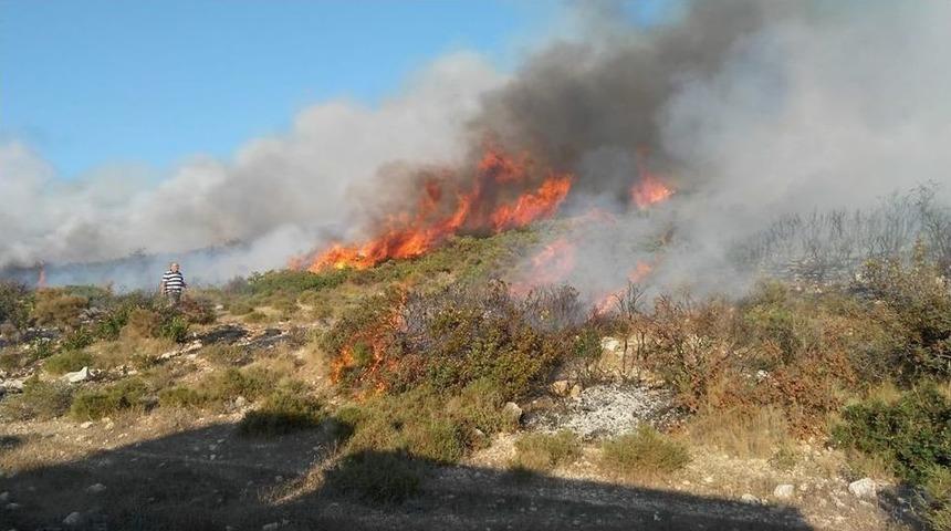 Didim&rsquo;de 50 Dekarlık Makilik K&uuml;l Oldu