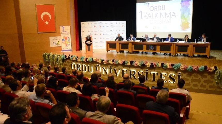 Ordu 1. Kalkınma &Ccedil;alıştayı Başladı