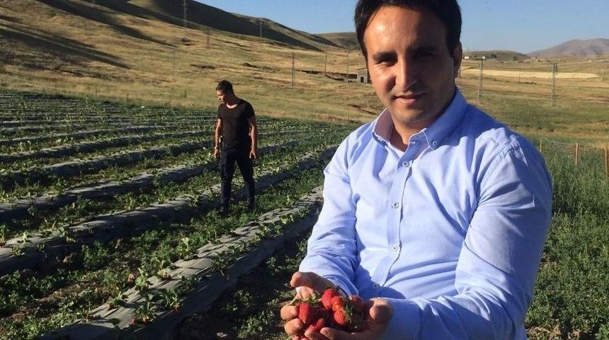 &Ccedil;aldıran&rsquo;da Doğal &Ccedil;ilek Yetiştiriciliği