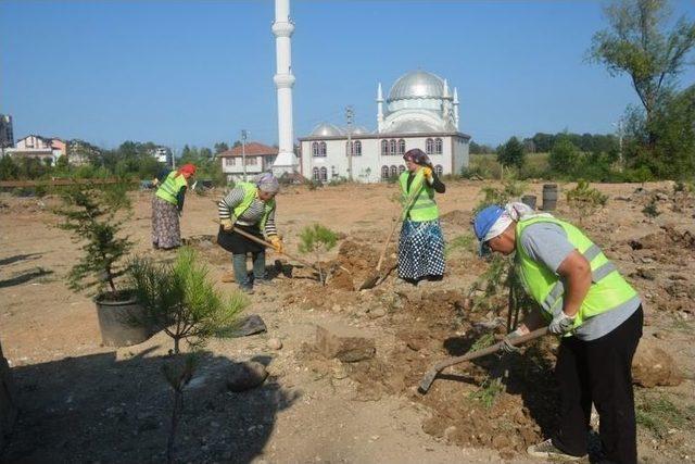 Aktepe: 