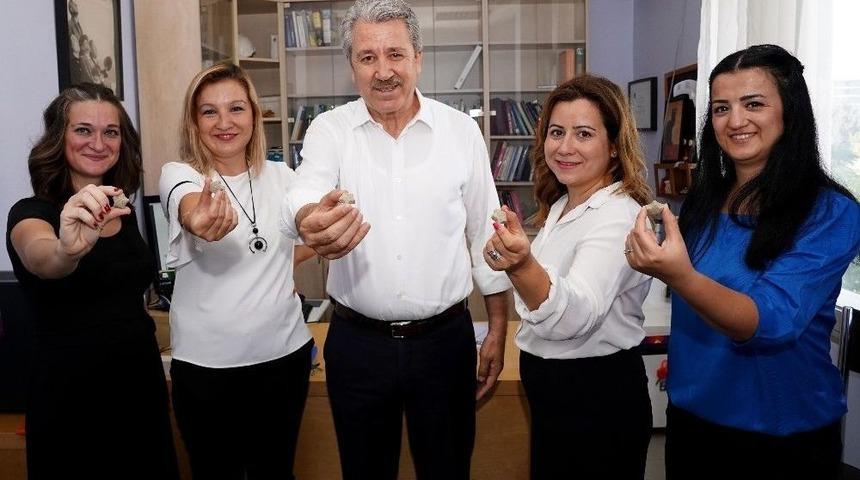 Bilim Kadınlarından Yeşil Binalar İçin Çözüm