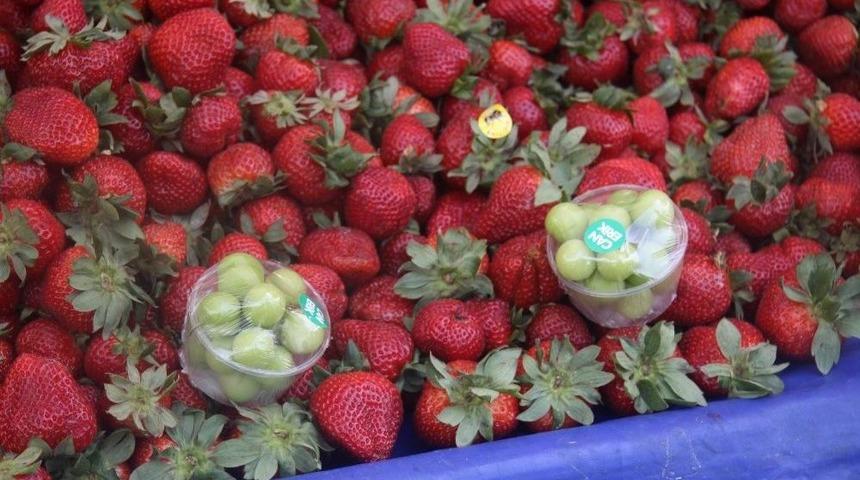 Erik Kilosu 100 Tl&rsquo;den Pazara Geldi