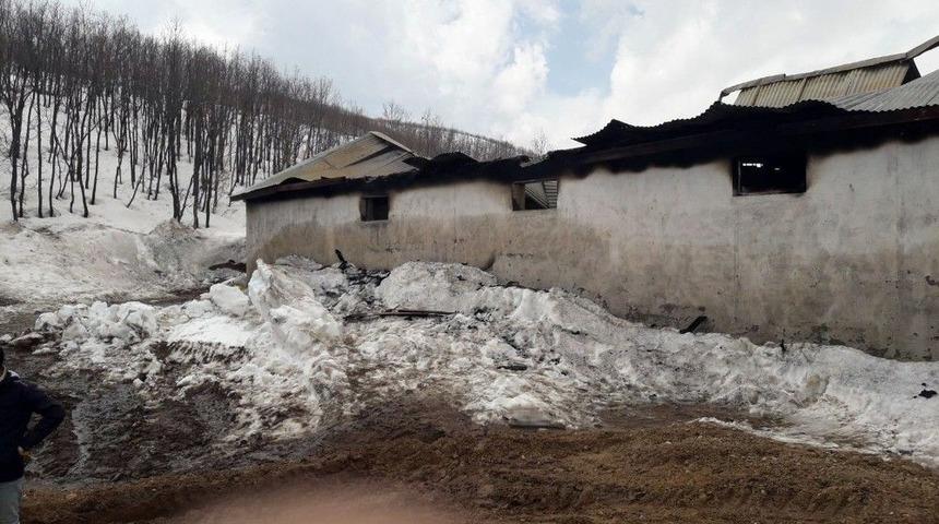 Ovacık&rsquo;ta Ahır Yangını: 17 Hayvan Telef Oldu