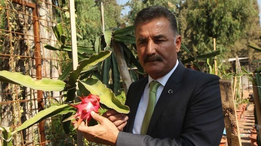 Toroslar Belediyesi, Uluslararası Bilim Dergisinde