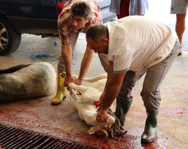 Manisalı Vatandaşlar Kurban İbadetini Yerine Getiriyor