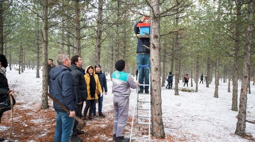 K&uuml;tahya Orman B&ouml;lge M&uuml;d&uuml;rl&uuml;ğ&uuml;&rsquo;nden Kuşlara Yuva