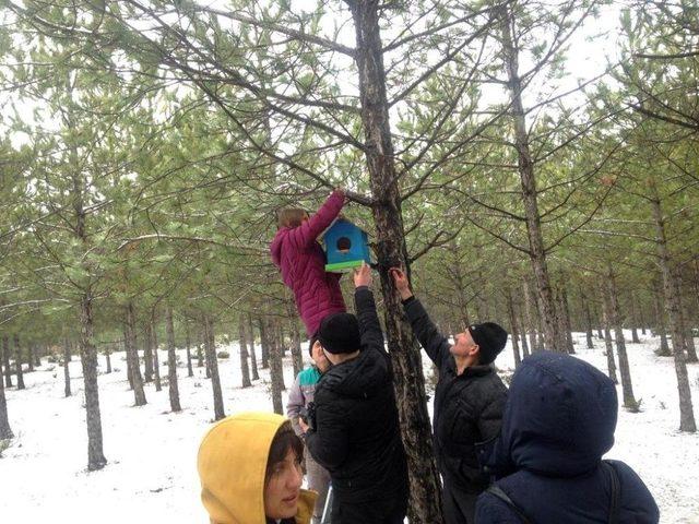 Kütahya Orman Bölge Müdürlüğü’nden Kuşlara Yuva