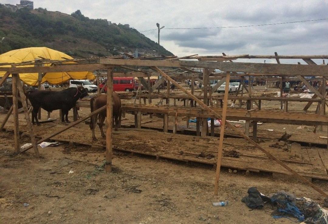 Bayramın İlk G&uuml;n&uuml;nde Kurbanlıkların Yarısı Satıldı