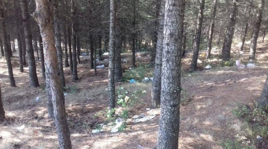 Niksar &Ccedil;ami&ccedil;i Yaylası&rsquo;nda Temizlik &Ccedil;alışması