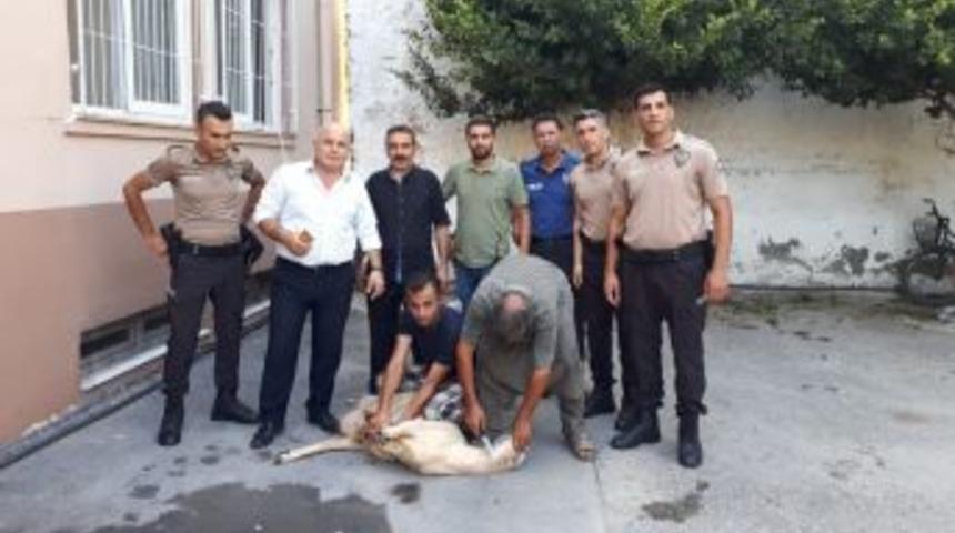 Tarsus Polisinden &Ouml;rnek Davranış