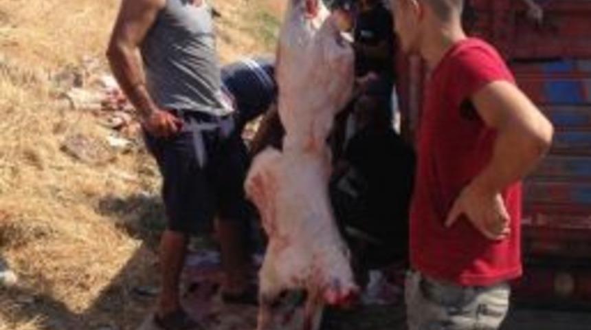 Yine Kurban Bayramı Yine Aynı Manzara