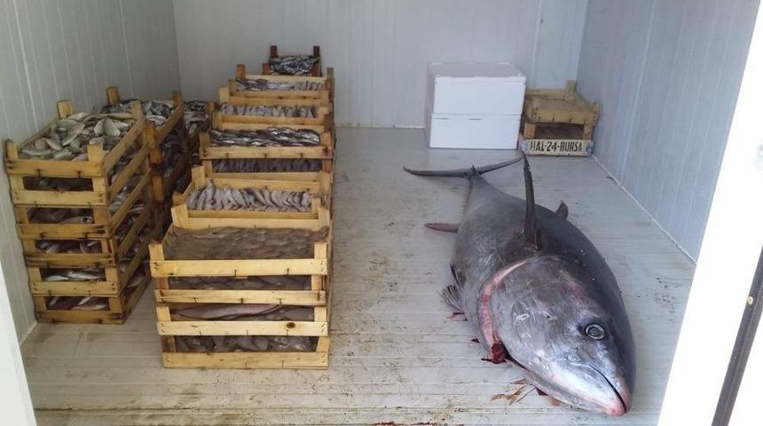 Uygunsuz Avlanmaya Ge&ccedil;it Yok