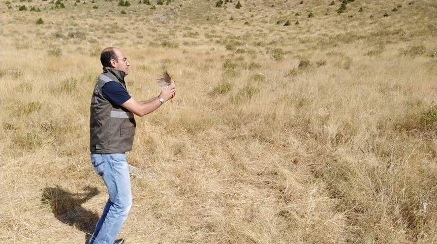 Tedavileri Tamamlanan 12 Keklik Doğaya Bırakıldı