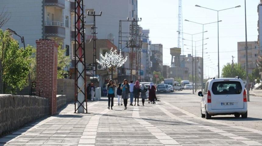 İdil Belediyesi Çalışmalarına Devam Ediyor