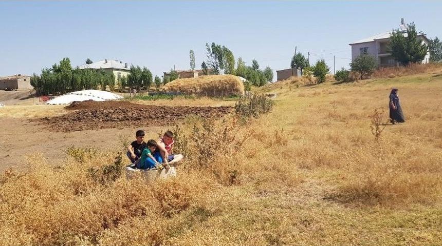 Kanalizasyon Suyu Tehlike Saçıyor