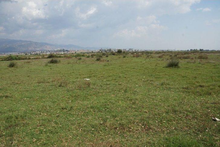 Vali Köşger ‘serbest Bölge” İçin Yer İncelemesinde Bulundu G3