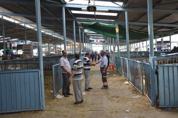 Kurbanlık Almak İçin Bayram Günün Beklediler G3