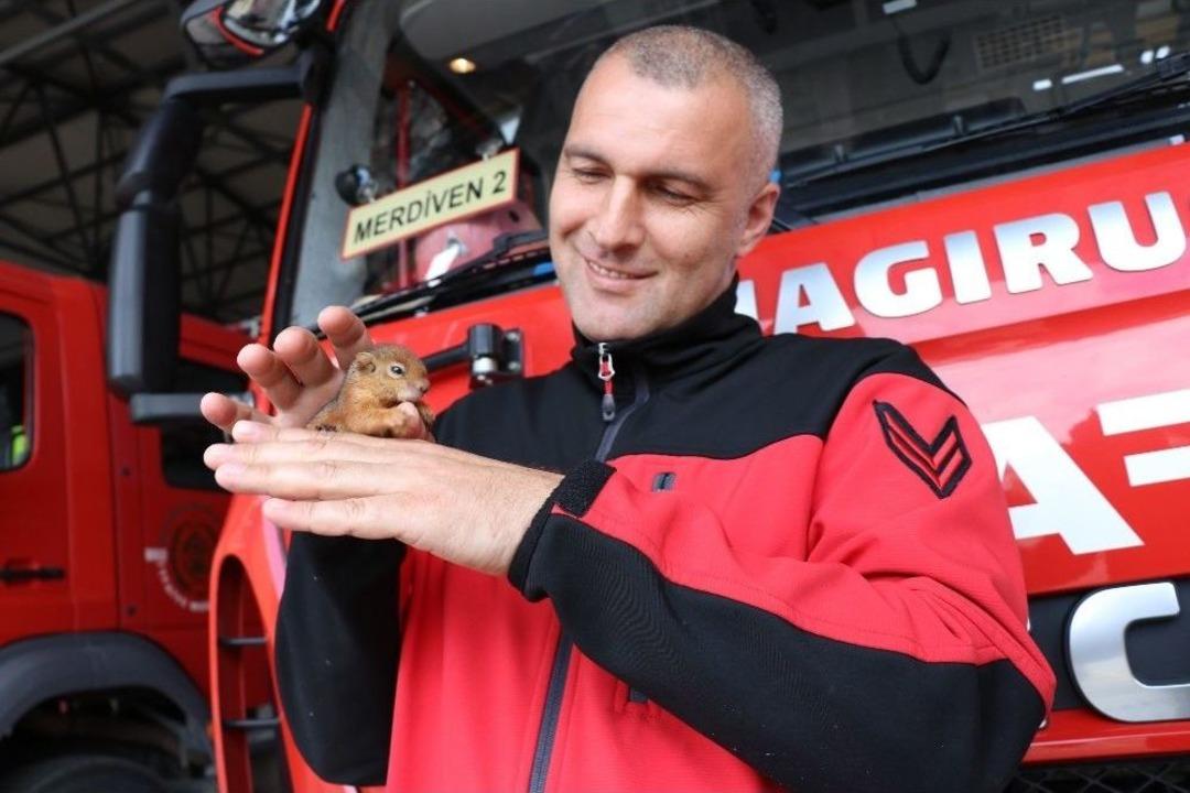 İtfaiye &Ccedil;avuşu Yavru Sincaba &Ccedil;ocuğu Gibi Bakıyor