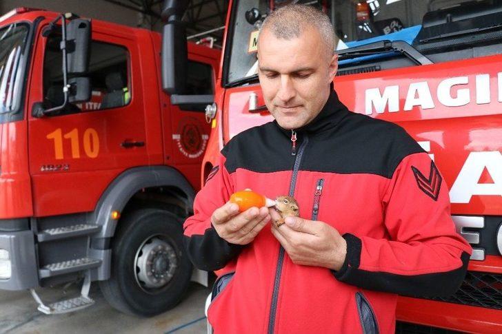 İtfaiye Çavuşu Yavru Sincaba Çocuğu Gibi Bakıyor G1