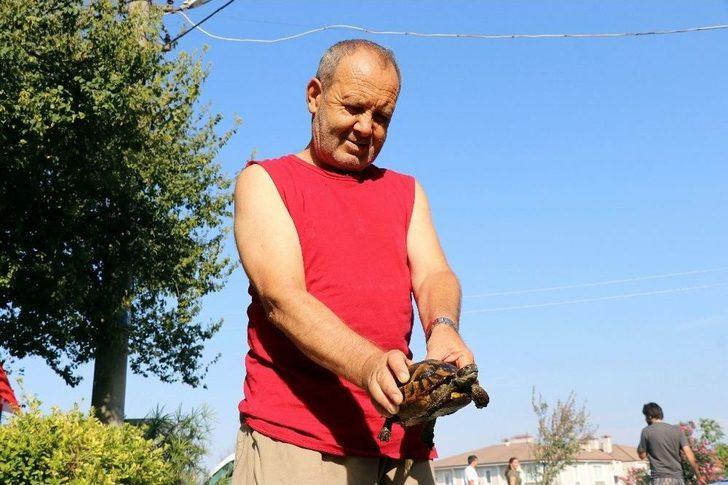 Çalılık Alanda Çıkan Yangın 10 Dönümlük Araziyi Küle Çevirdi G5