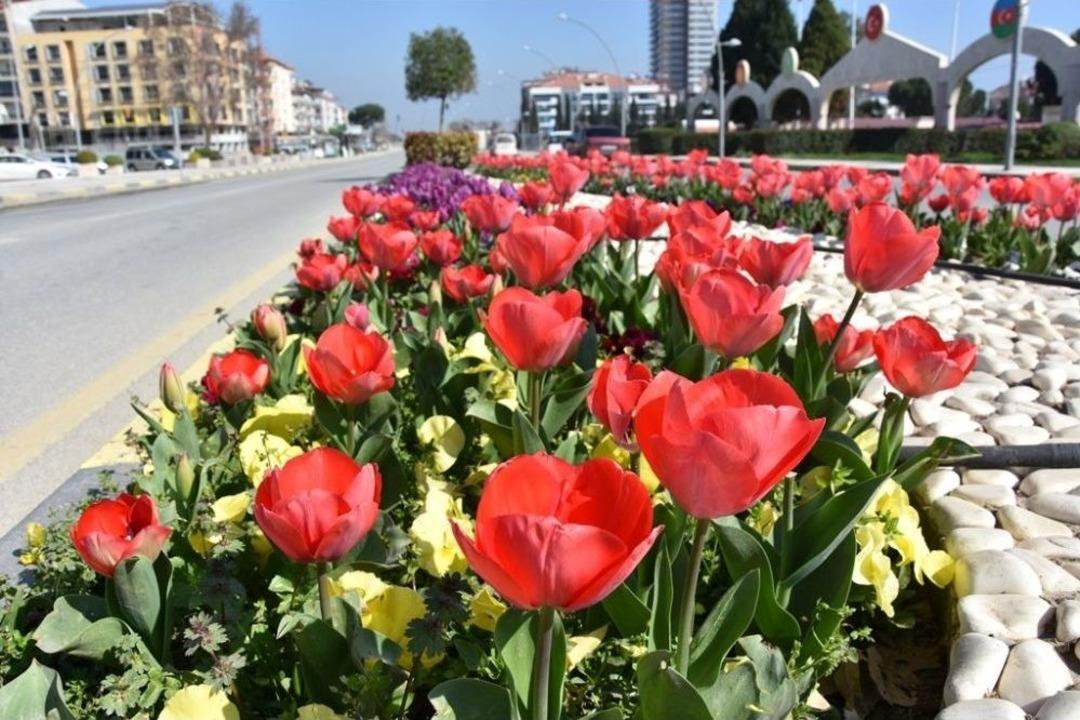 Alaşehir &Ccedil;i&ccedil;eklerle Renk C&uuml;mb&uuml;ş&uuml;ne B&uuml;r&uuml;nd&uuml;