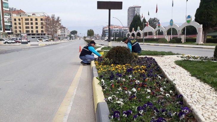 Alaşehir Çiçeklerle Renk Cümbüşüne Büründü G1