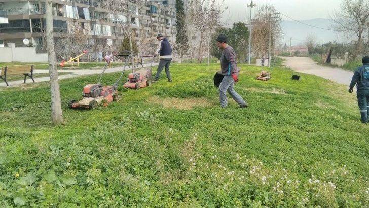 Alaşehir Çiçeklerle Renk Cümbüşüne Büründü G2