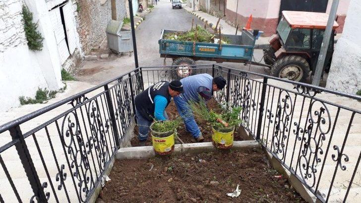 Alaşehir Çiçeklerle Renk Cümbüşüne Büründü G3