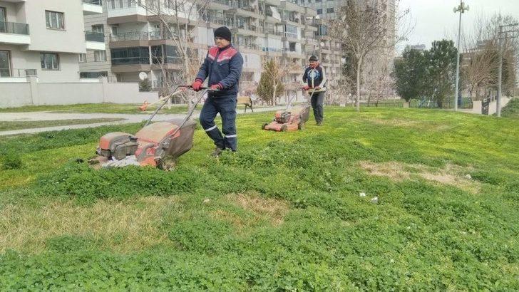 Alaşehir Çiçeklerle Renk Cümbüşüne Büründü G4