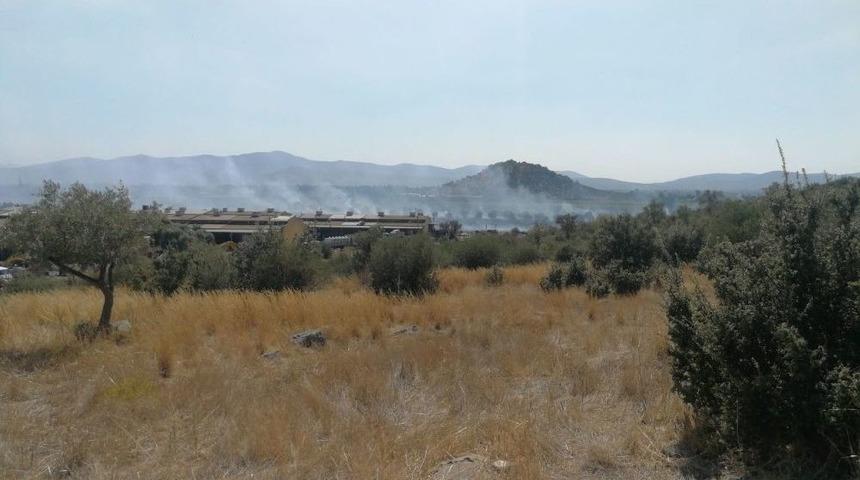 Milas&rsquo;ta Makilik Yangını