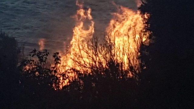 Bandırma’da Makilik Alanda Yangın 1