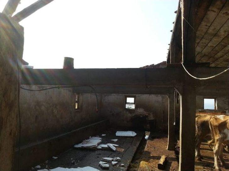 Kastamonu’da Şiddetli Fırtına, Ağaçları Devirdi, Çatıları Uçurdu G3