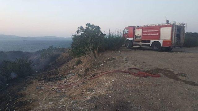 Bandırma’da Makilik Alanda Yangın 2