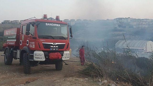 Bandırma’da Makilik Alanda Yangın 3
