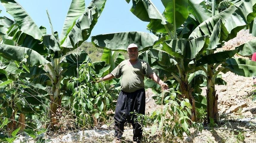 B&uuml;y&uuml;kşehir&rsquo;den Anamur&rsquo;lu &Uuml;reticiye Destek