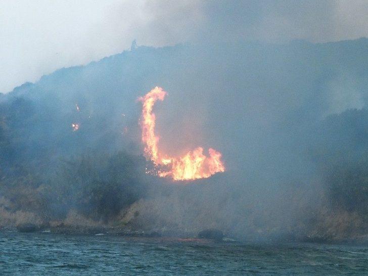 Bandırma’da Arazi Yangını G1