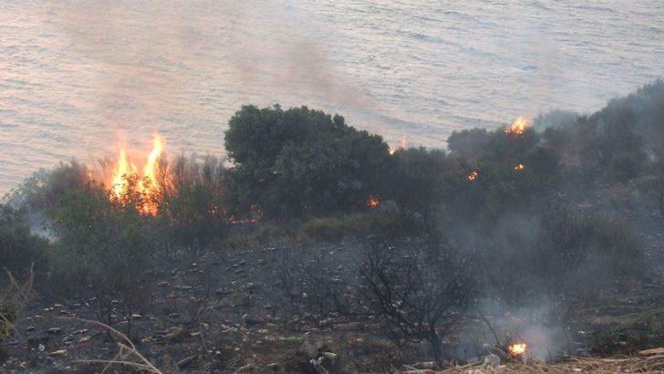 Bandırma’da Arazi Yangını G2