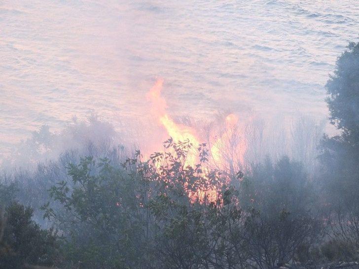 Bandırma’da Arazi Yangını G4