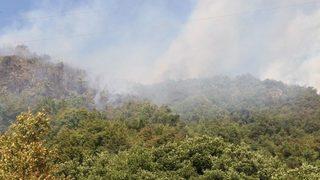 Kastamonu’da Çıkan Orman Yangını Helikopter İle Söndürüldü